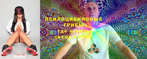 стафф Алексин