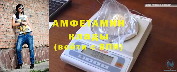 сатива Абинск