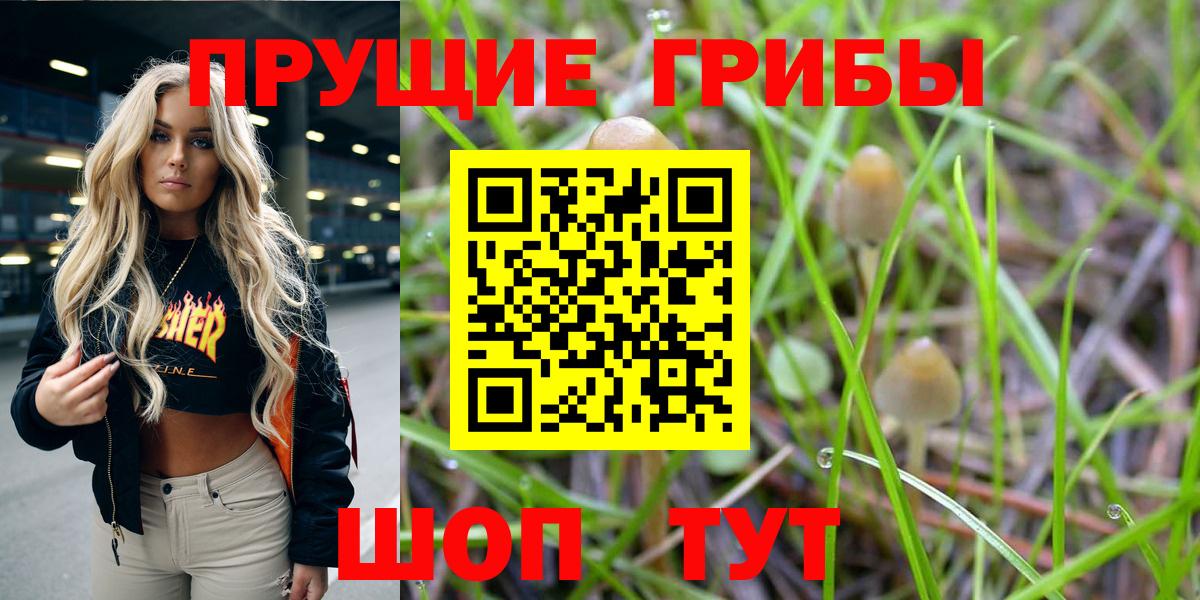 Отрадное  Галлюциногенные грибы GOLDEN TEACHER  Вход с VPN 